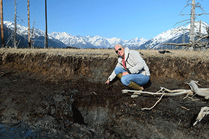 Alaska sediments